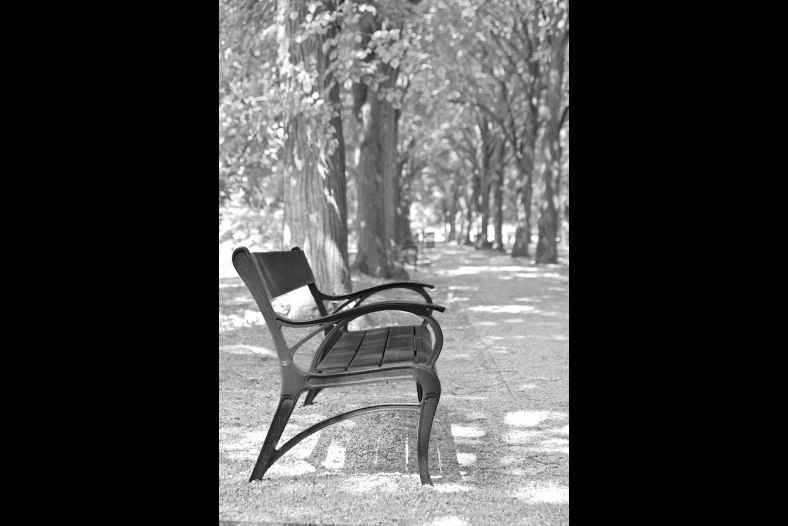 The bench